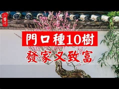 家門口種扁柏|【家門口種扁柏】家門口種扁柏：破解禁忌，招財聚。